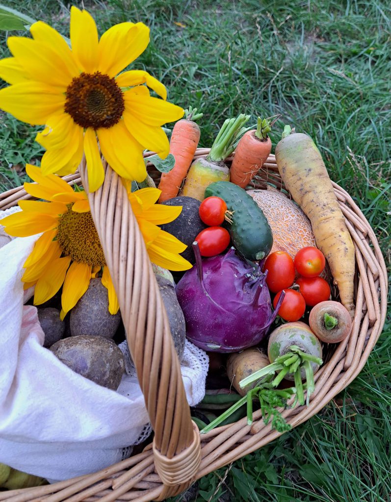 Tipps Anbau Gemüse Karotten Tomaten